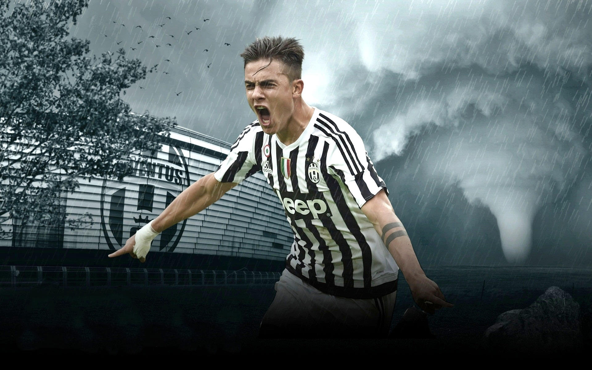 邮报：纽卡正努力与莱比锡就谢什科达成协议，球员愿意加盟