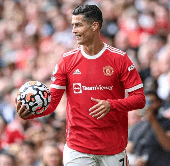 多样性报告发布