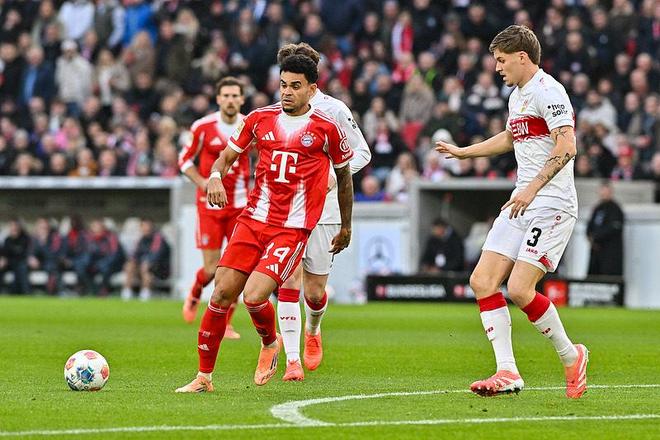 篮球CBA球队训练营全员参与